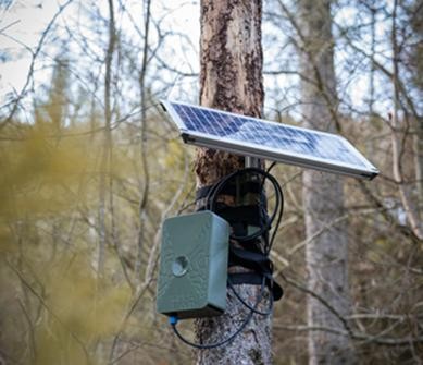 Solarbetriebener Sensor zur digitalen Umweltbeobachtung an einem Baumstamm