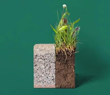 Klimastein im Querschnitt mit Bewuchs auf der Oberseite
